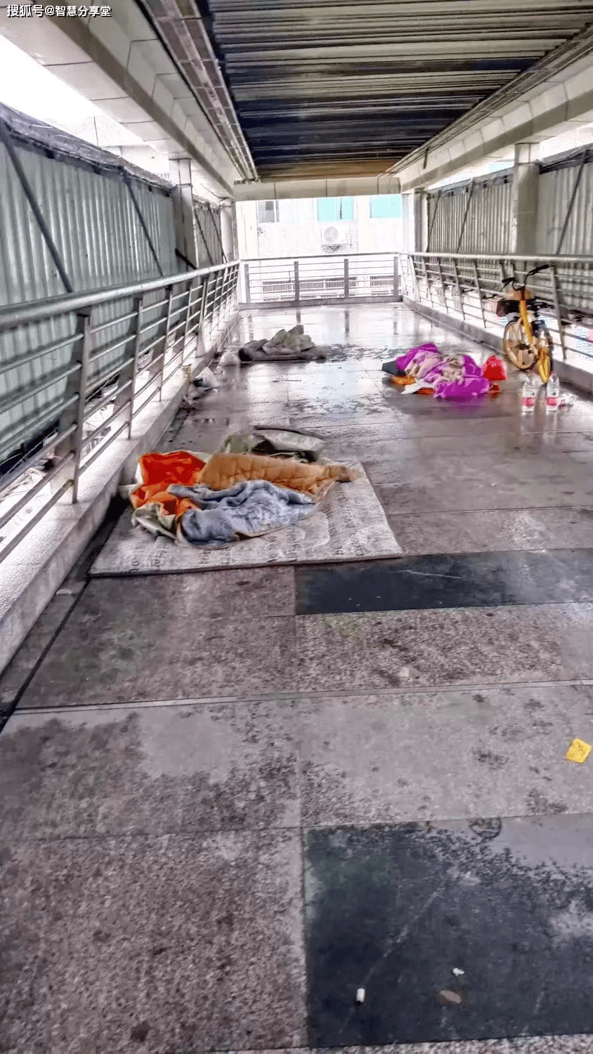 下雨天东莞失业的流浪汉,无家可归只能睡天桥,凉嗖嗖的_企业_招聘