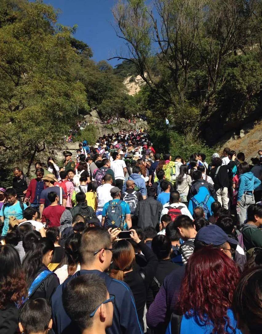 泰山景区免门票开放!游客爆满,从山脚堵到山顶!_网络_厕所_数据