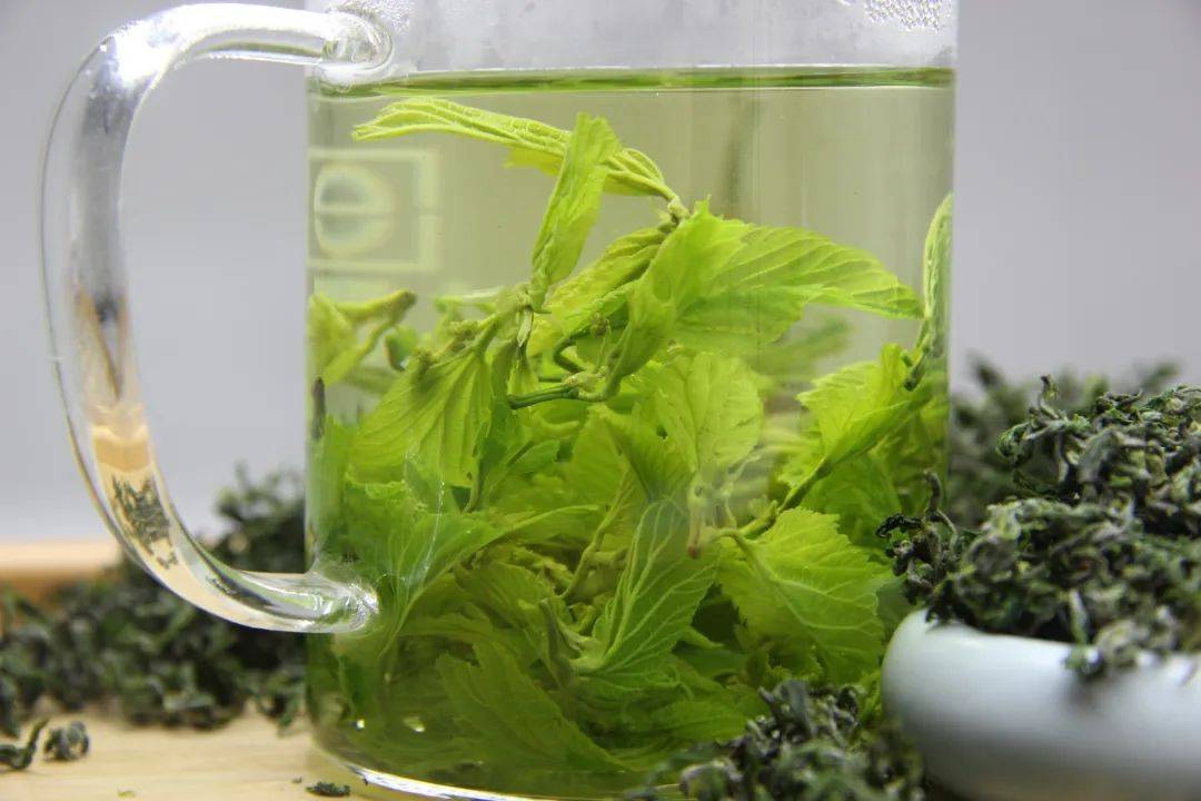 桑茶