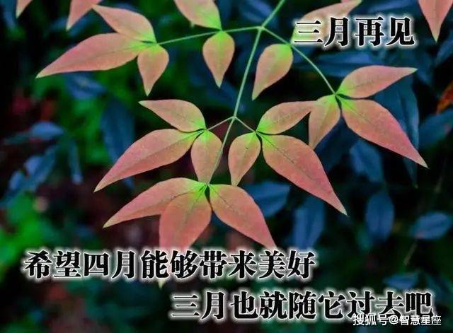 干货分享（骗朋友怀孕文案短句子图片）骗家人怀孕了怎么收场 第5张