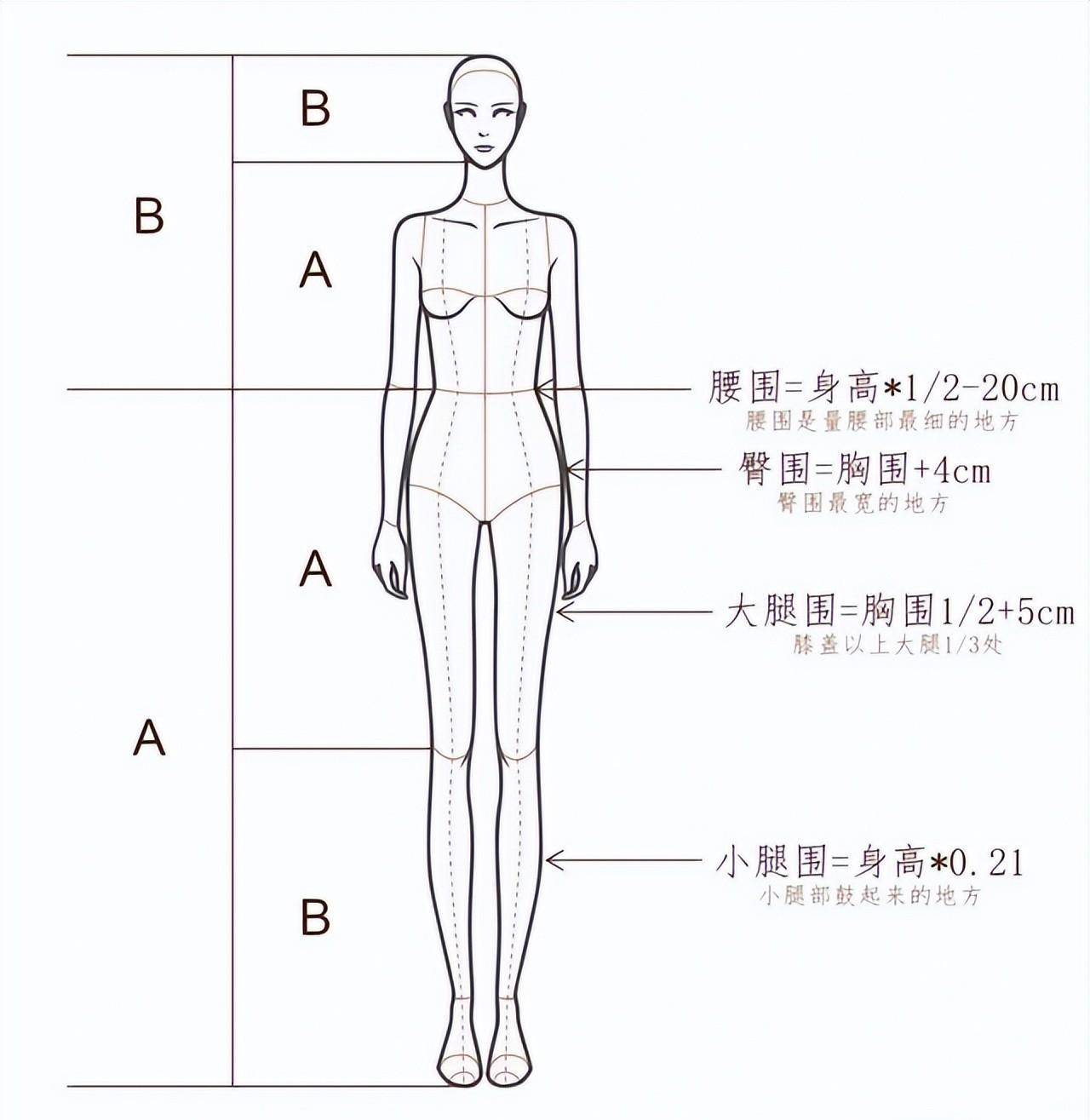 身高腿长比例表女生图片