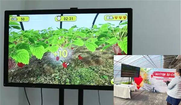 昌平草莓国家地理标志农产品品鉴推介系列活动完美收官 (图9)
