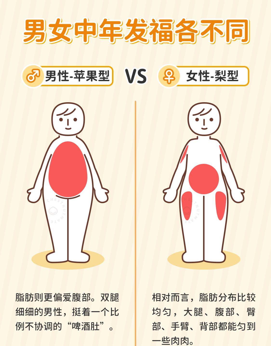 为什么男人胖胖肚子,女人胖胖屁股?_脂肪_身材_腹部