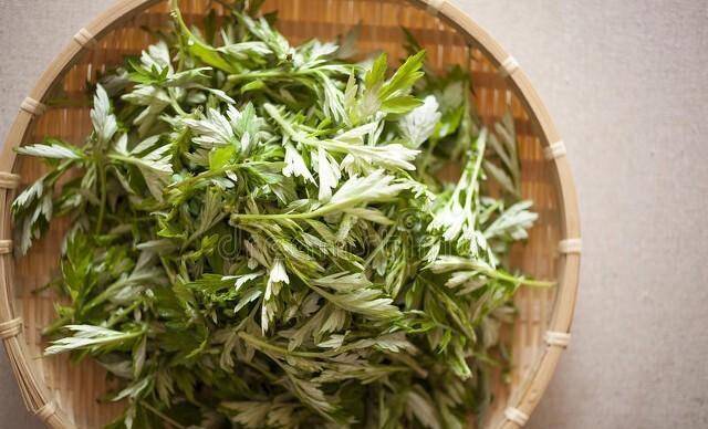 蒿芩清胆汤方:青蒿,淡竹茹,制半夏,赤茯苓,黄芩,枳壳,陈皮,碧玉散.