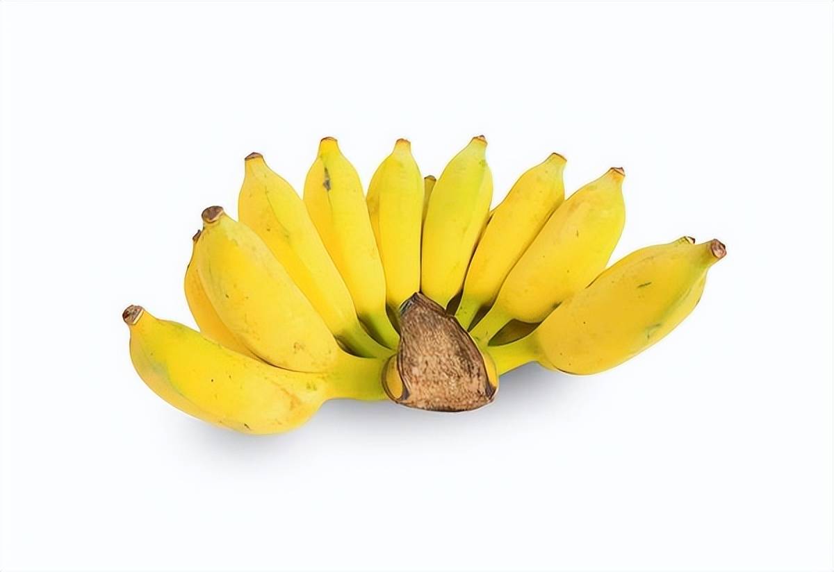 原创
            拉屎拉不出，吃点香蕉、蜂蜜就能通便？非也，倒不如做好这3点
                
                 