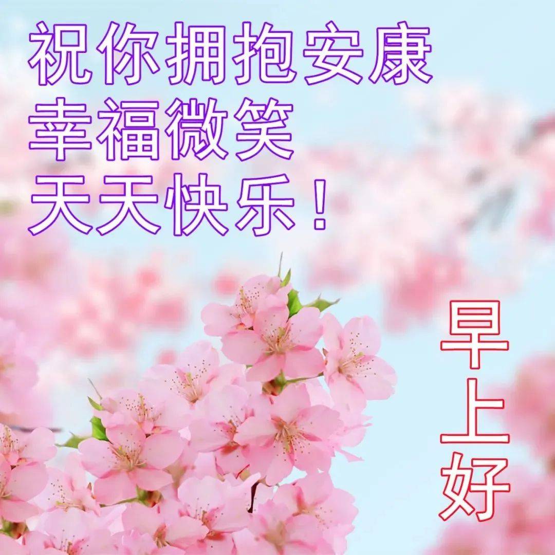 2022最美春日风景早上好图片带字带祝福语 不用打字就可以聊天的早安