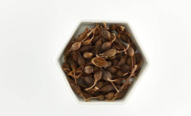 中药功效大全清热药(清热解毒药)_治疗_连翘_黄连