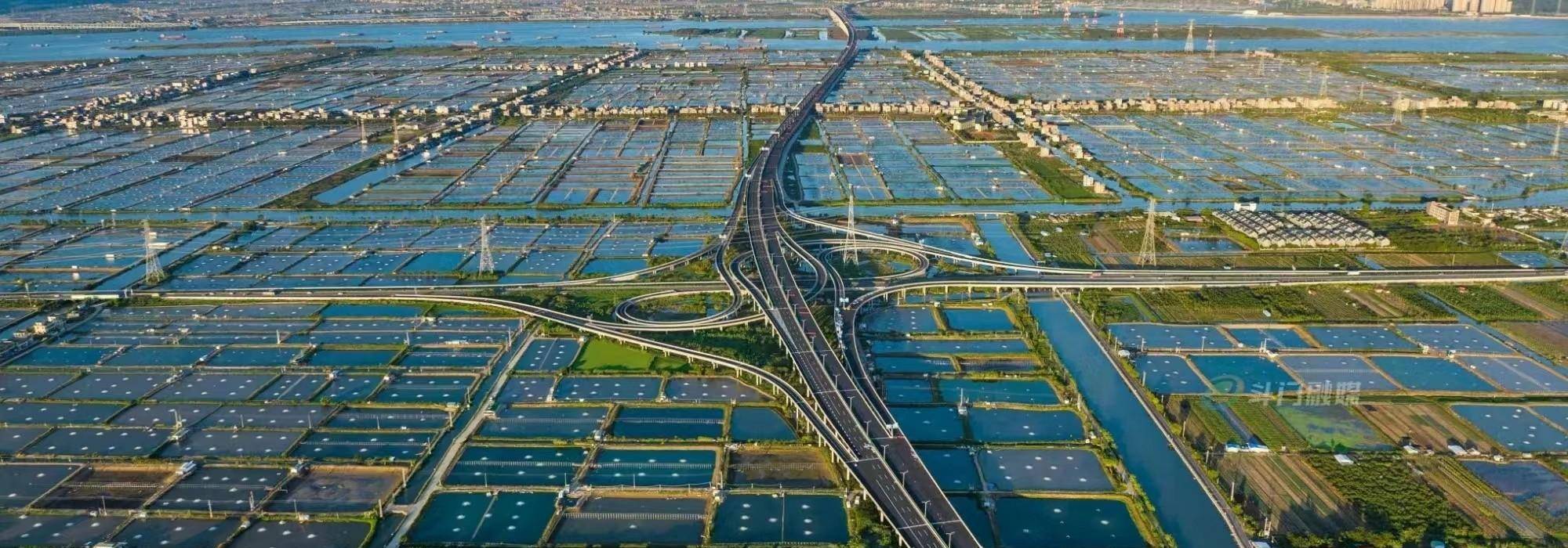 香海大桥虽改写了珠海市内半小时无法上高速的命运,却被不断吐槽_斗门