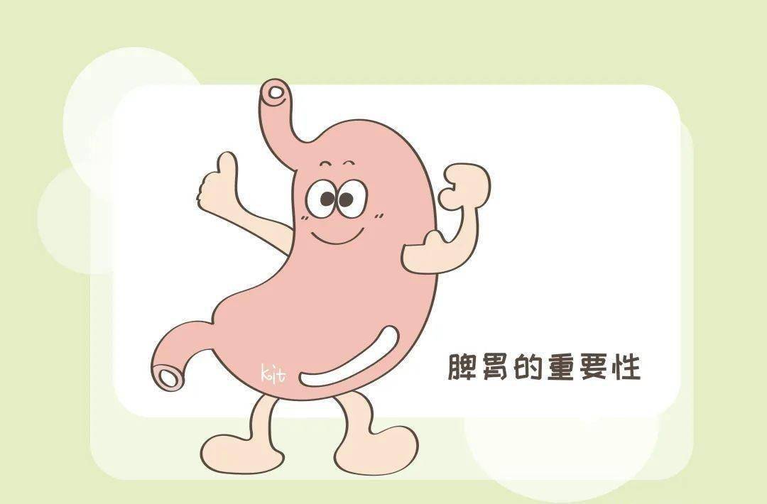 脾胃最怕寒和湿,两个中成药,把你体内的寒湿逼出去_东西_肚子_食欲