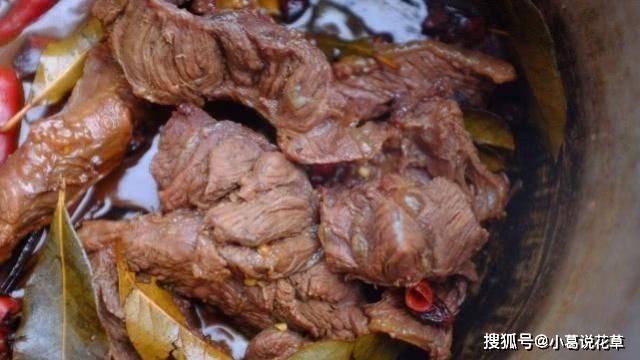 卤牛肉的做法（卤牛肉的做法视频窍门教程） 第4张