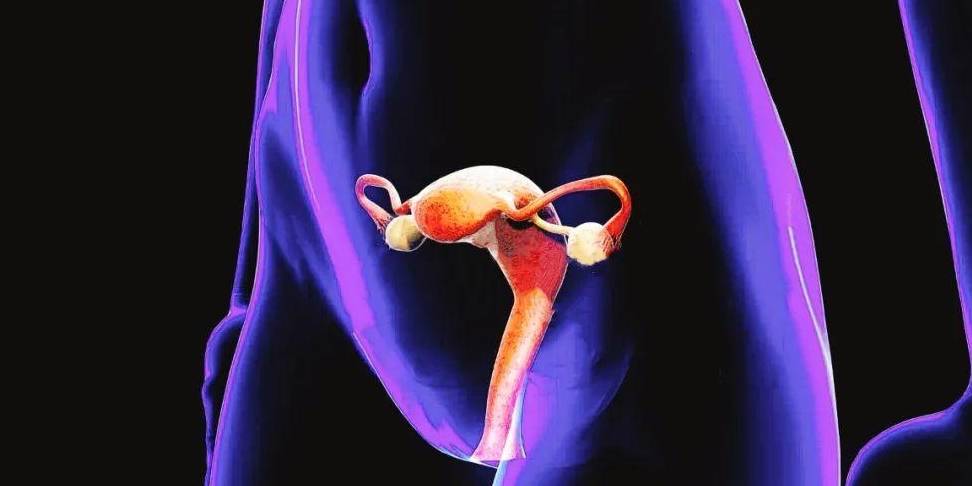 妇科护理问答2则_外阴_女性_阴道