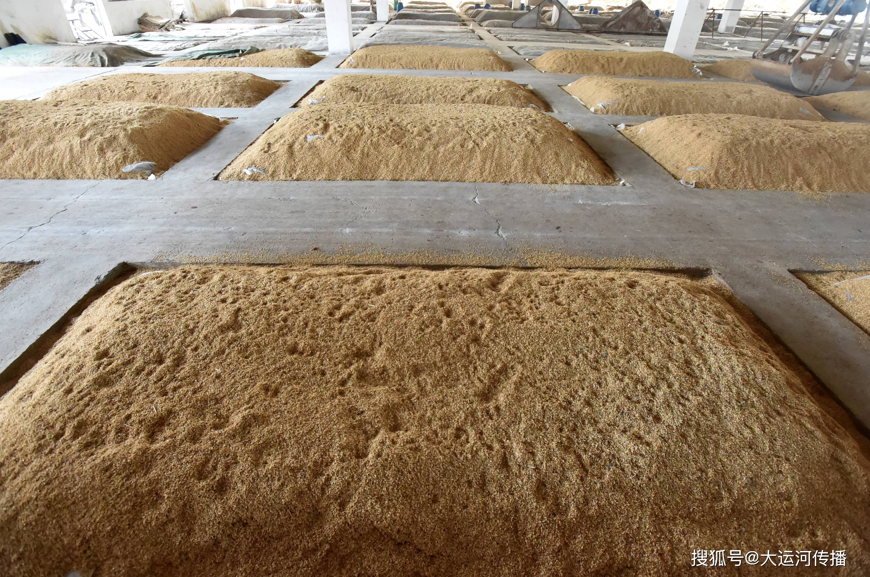 运河一品|济宁运河之都酒:集多品类酒于一体 酿运河生态美酒