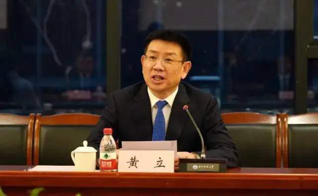湖北“武汉首富”:85后A股董事,身价280亿_黄晟_黄立_企业
