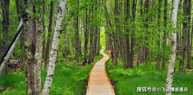 未来10天，3大生肖运势大改变，东山再起（十二生肖排序年龄2023年）