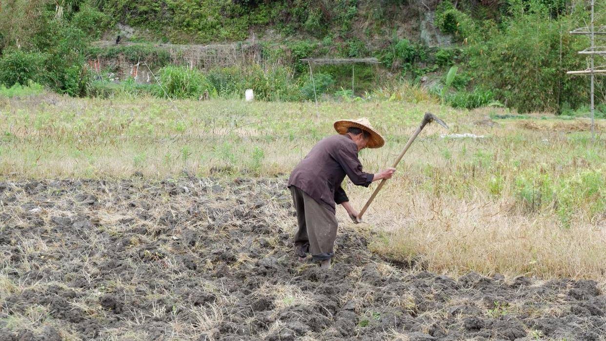 为什么一些人干活会发脾气?_社会化_工作_年轻人