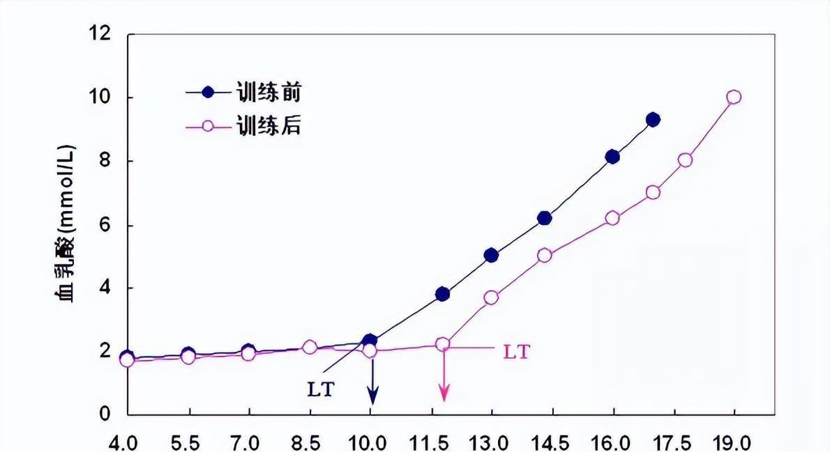 乳酸阈值,10k测试与马拉松成绩之间的关系大揭秘_训练_有氧_运动