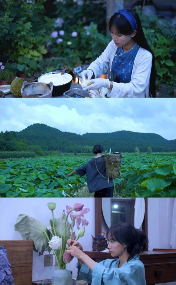 "田园一姐"李子柒的作品停更一年后,每月收益仍然高达78万_李子奇