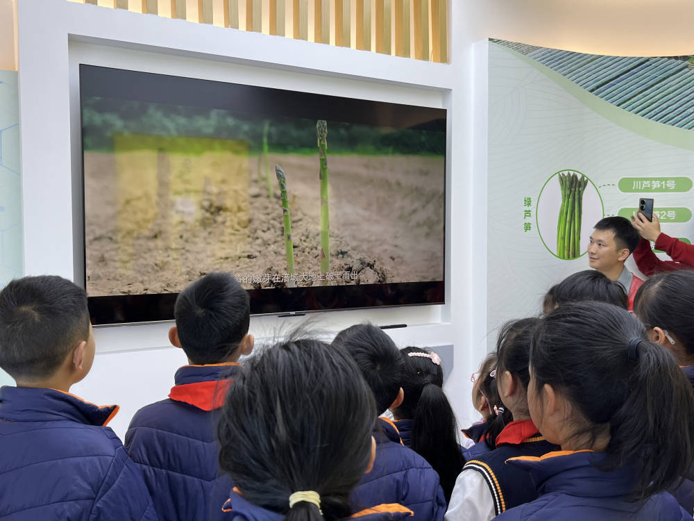 孩子们走进芦笋基地,了解芦笋的生长过程;大家在基地认识艾草,采摘