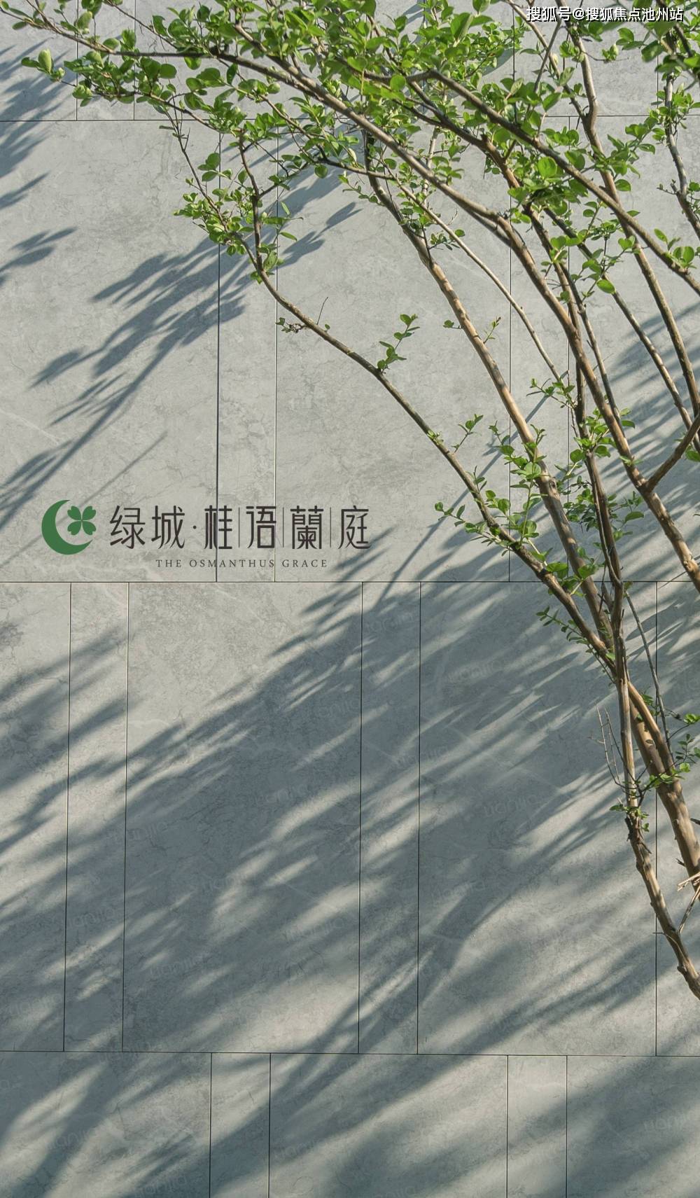 【售楼中心】绿城桂语兰庭售楼处电话400-100-1299转5999桂语兰庭售楼