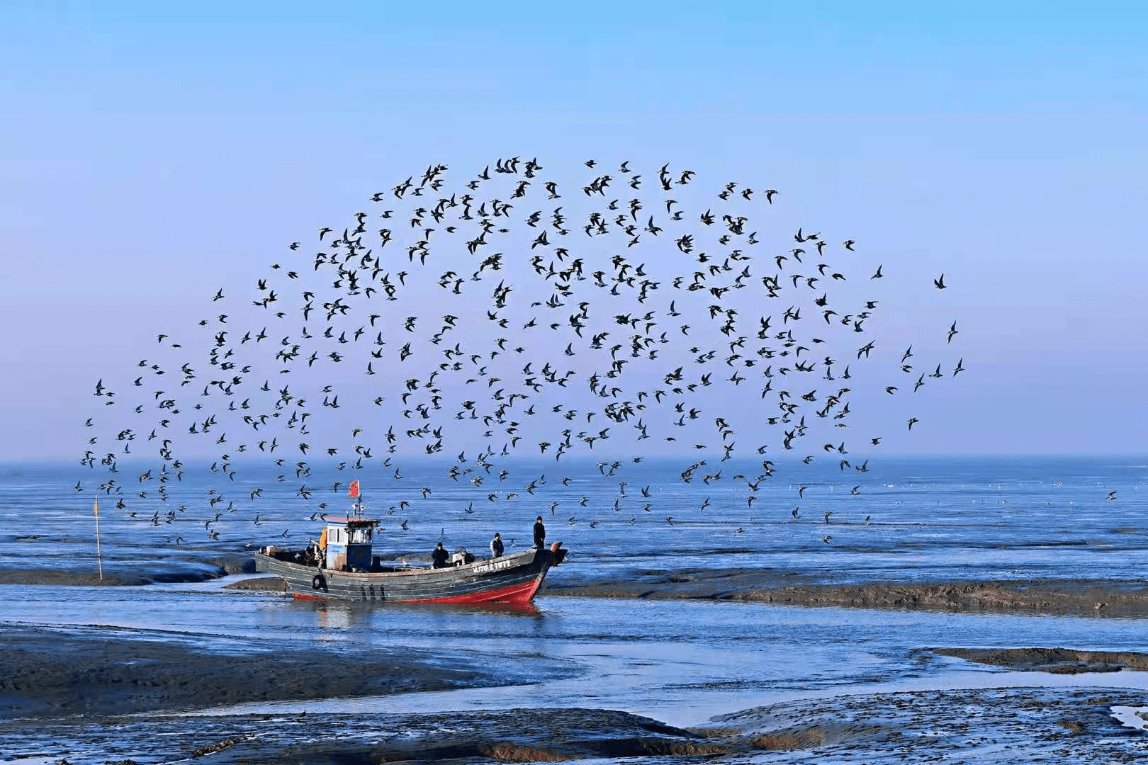 黄海明珠简笔画图片