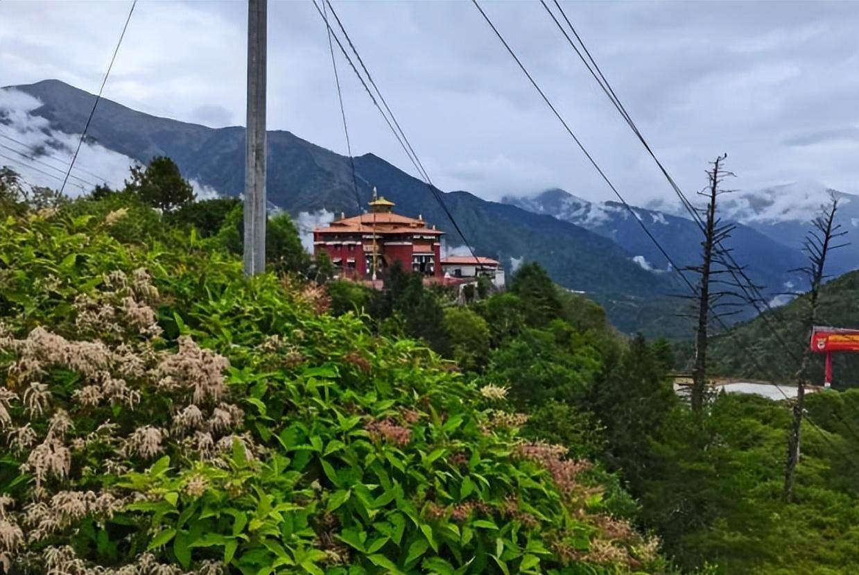 西藏五大名沟——世界级经典户外徒步路线-2023吉隆旅游榜单-吉隆必体验-自助游攻略-去哪儿攻略