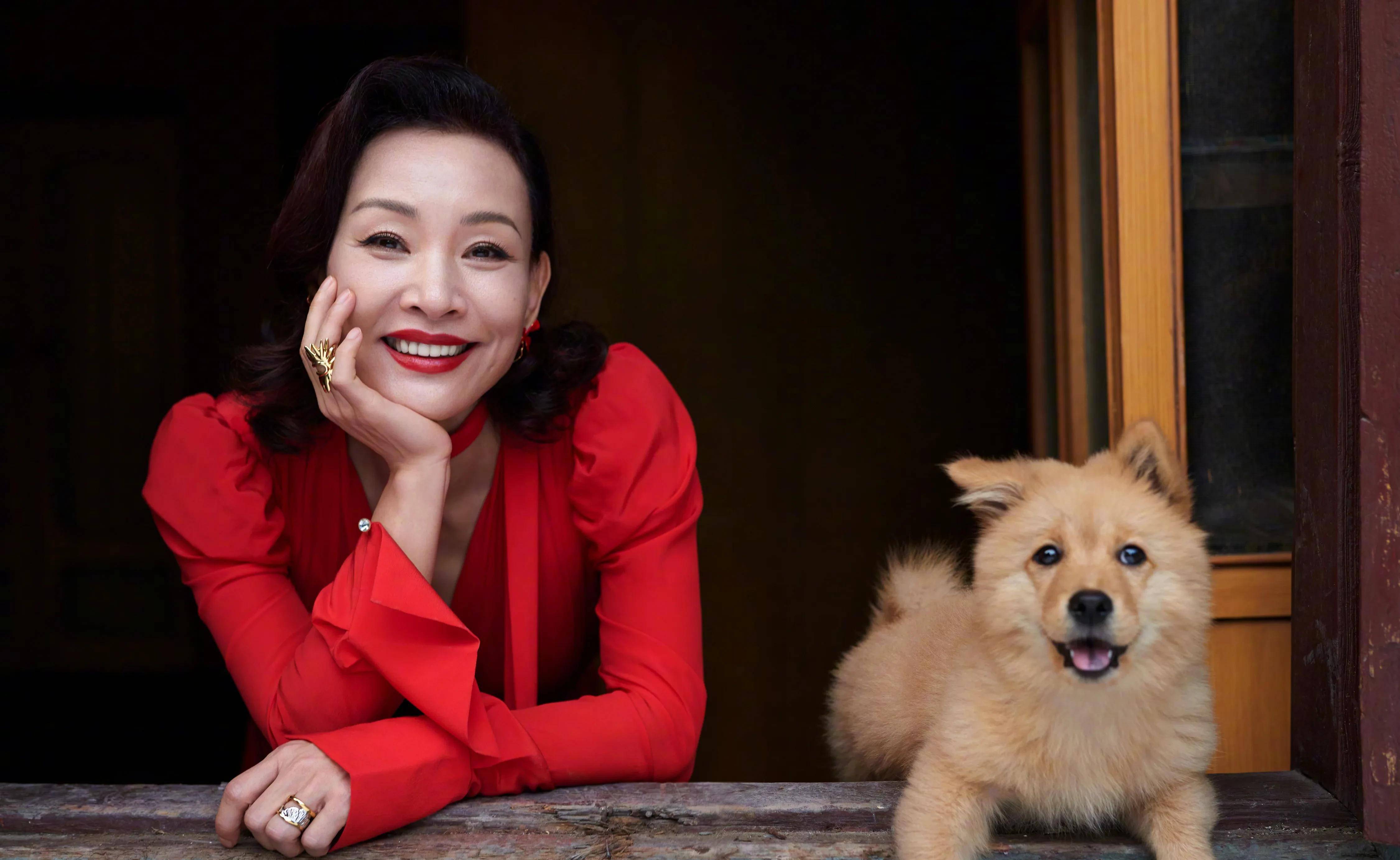 冯小刚陈冲最新催泪力作《忠犬八公》,上演人狗情未了_作业_孩子_一生