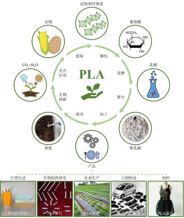 新时代生物质降解材料聚乳酸,助力绿色环保的未来之钥