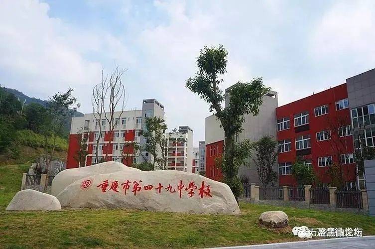 擦亮体艺特色品牌 全面推进教育提质行动_建设_发展_课程