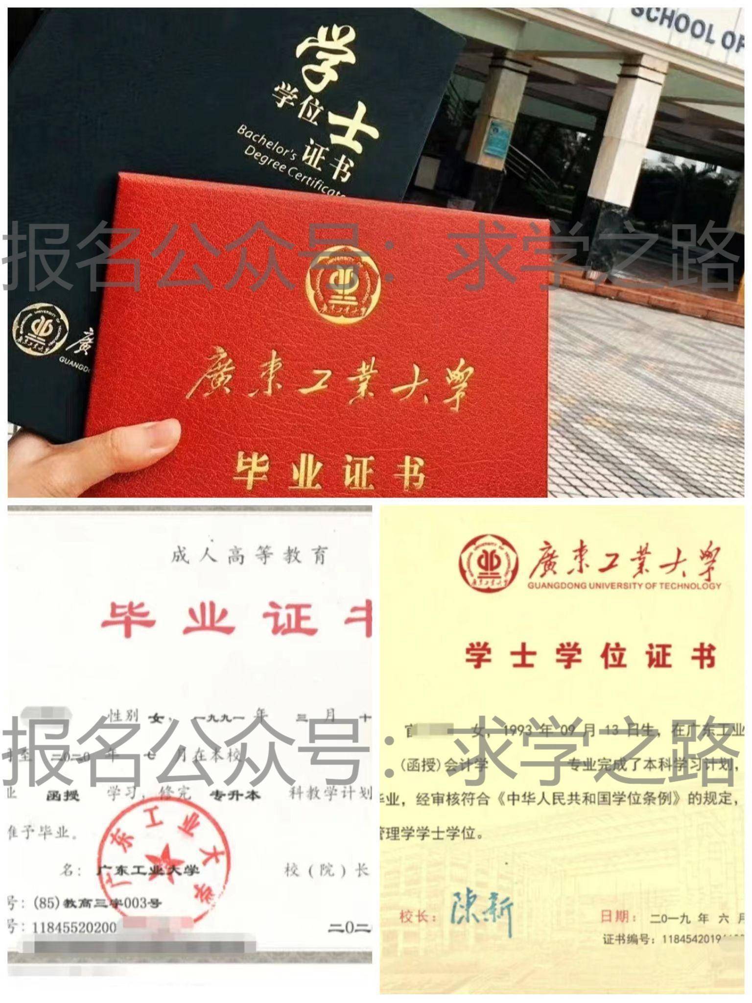 大学毕业证书丢了怎么办『大学毕业证丢了怎么补回来』