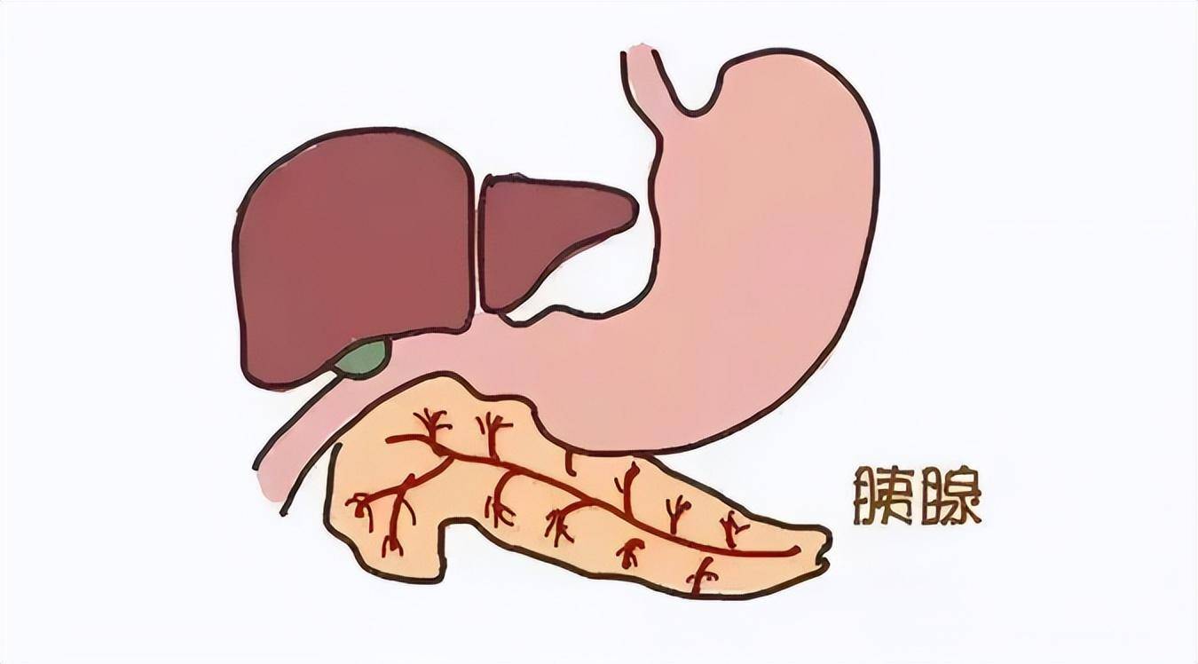 喝酒的人请警惕 酒后出现3个症状