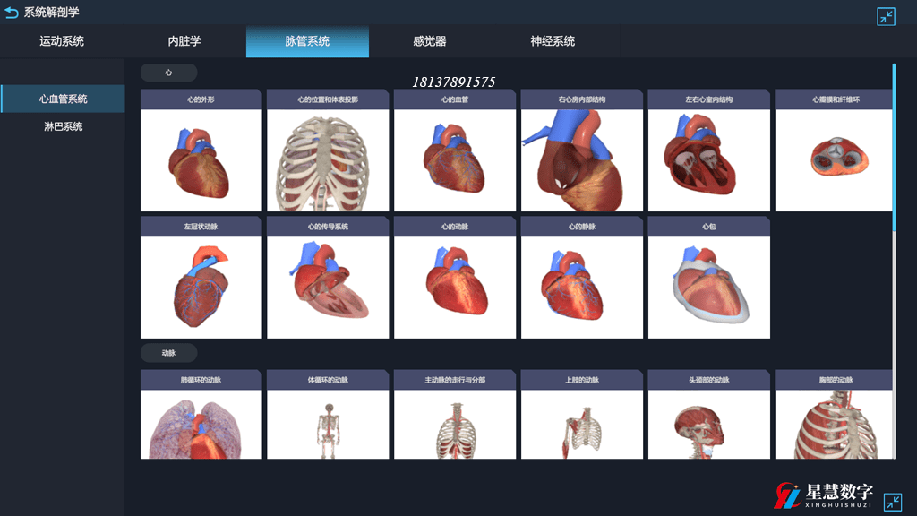 3d人体解剖软件 助力医学教学进入数字化时代