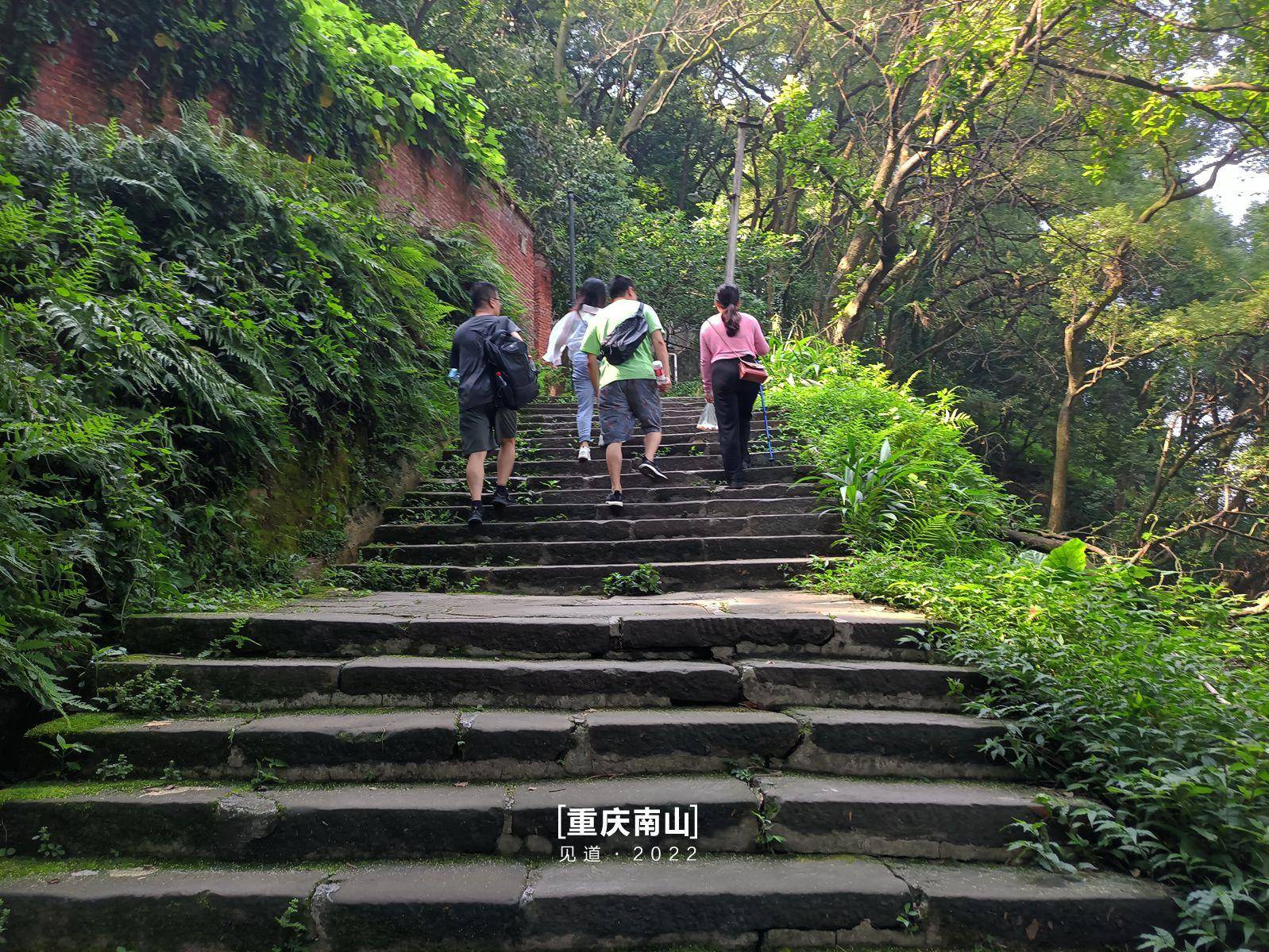 重庆市区登山好去处图片