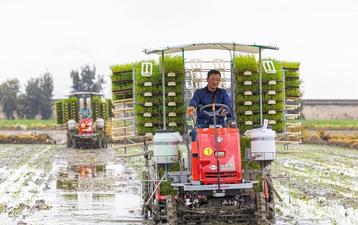 乘坐式8行水稻插秧机,久保田vs井关,看清配置和价格,再买不迟_机型