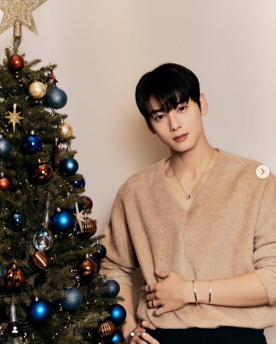 「脸蛋天才」车银优凭借韩剧《我的id是江南美人》,《女神降临》等圈