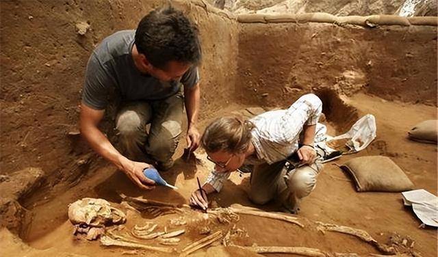 韩国抢救性考古是什么?考古与人类学调查._进行讨论_研究_牙齿