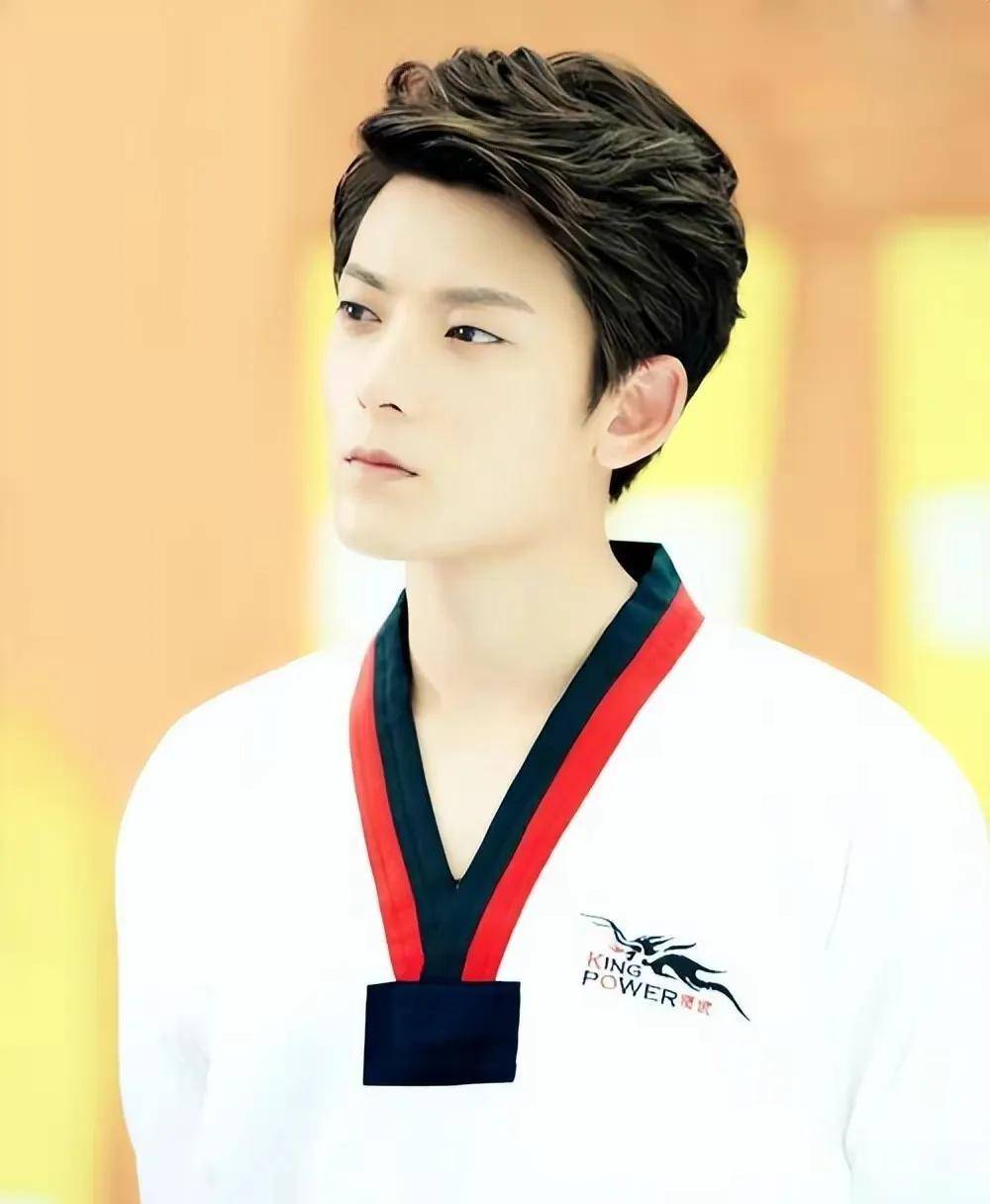 多部电视剧《旋风少女》《步步惊情》《寻秦记》《像我们一样年轻》等