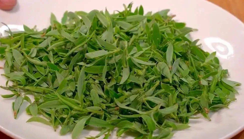 一排毒,二利尿,三降压,4月这菜使劲吃,被称"心脏阿司匹林"_柳树芽