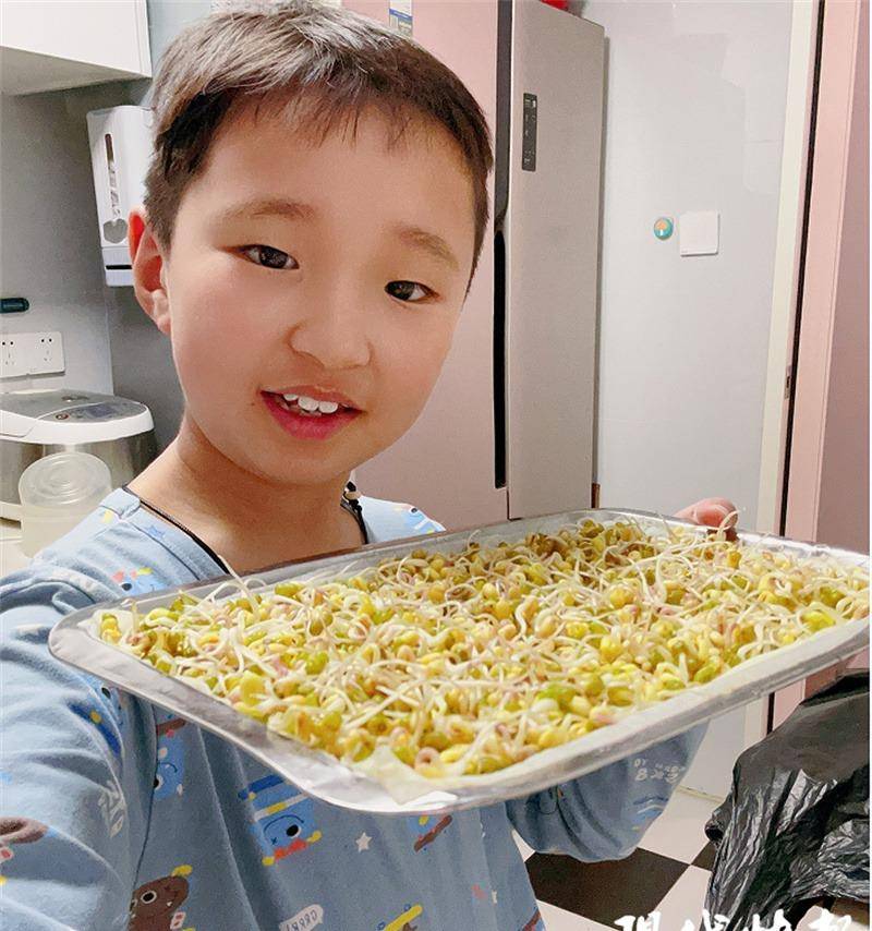 10岁男孩花9天种绿豆芽,为妈妈庆生_皓骞_儿子_生日