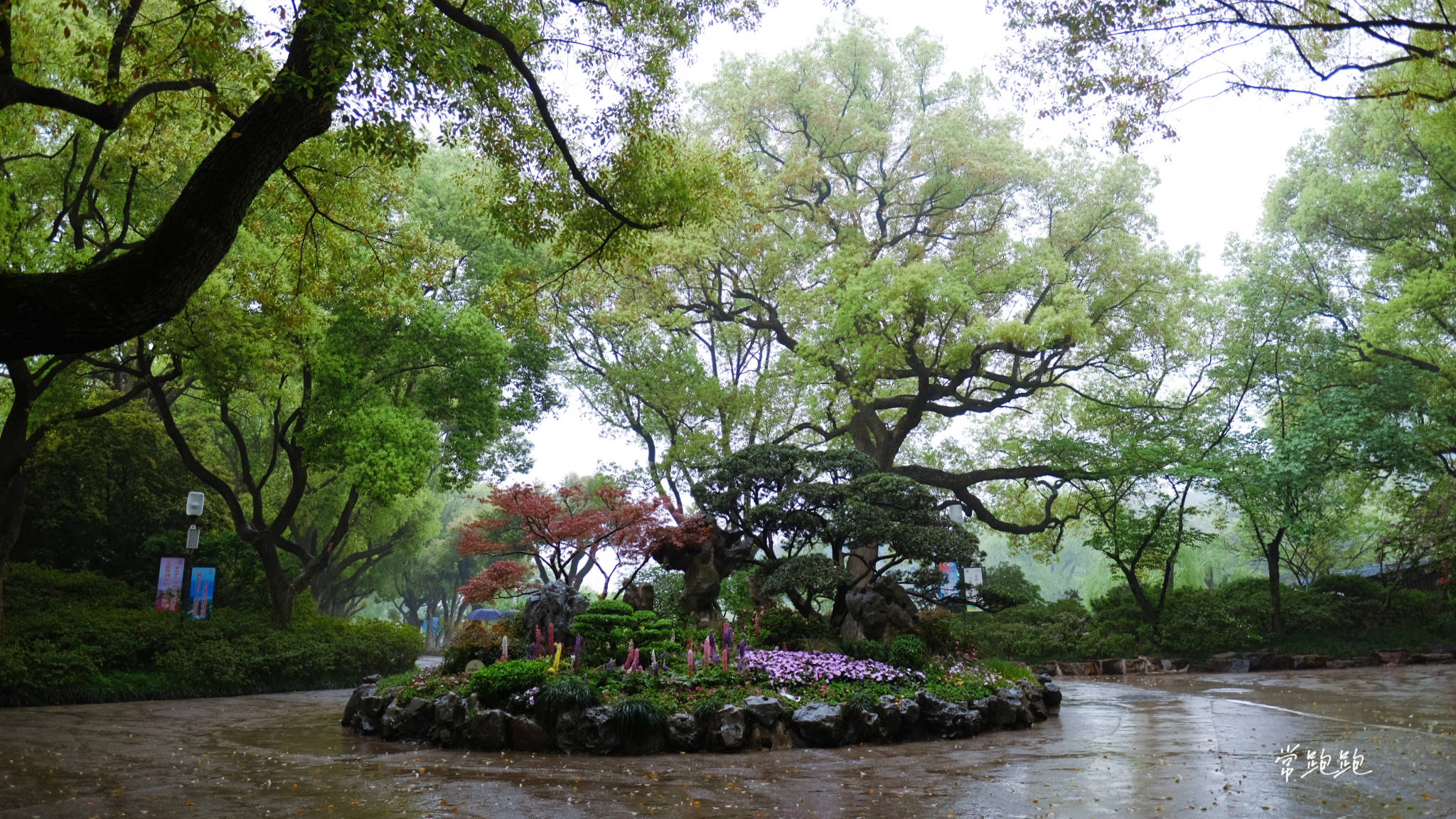 映山湖公园图片