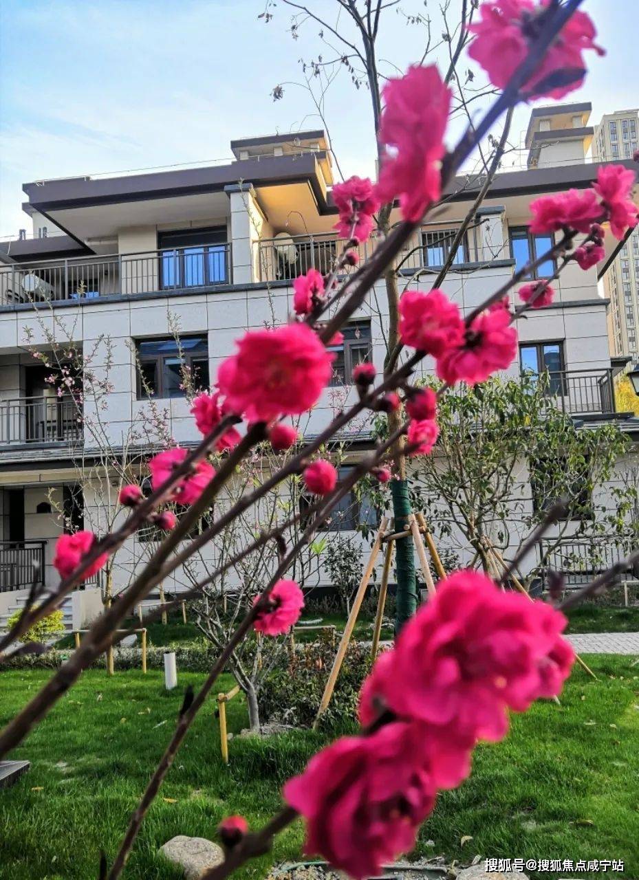 首页网站丨滨江裕花园欢迎您丨滨江裕花园