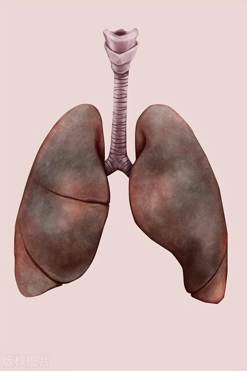 你的肺龄多大了?医生教你如何测肺龄,早看早受益_肺部_测试_实际