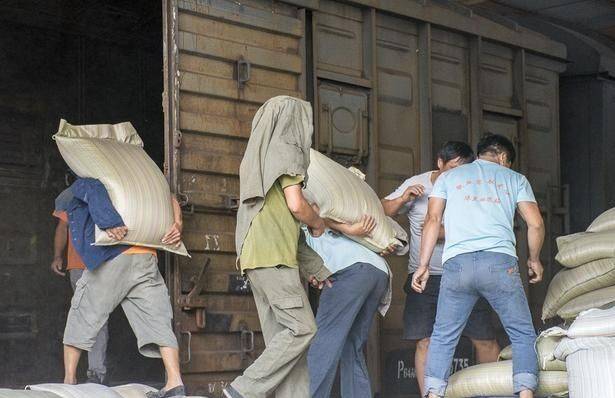 临泉县装卸行业:物流之上的力量