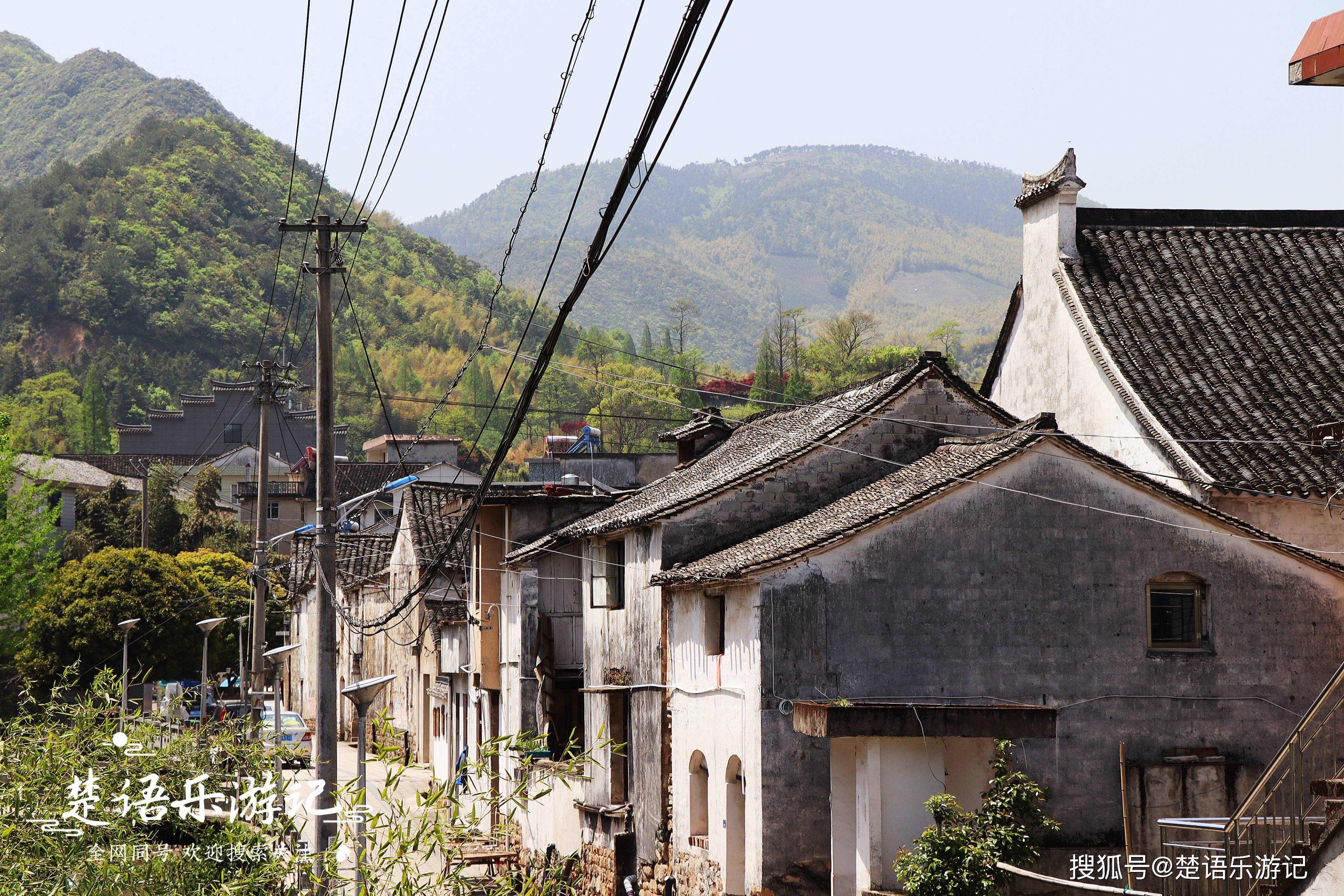 宁海五峰山下的千年古村,人文深厚传说众多,茶园云海成网红景点