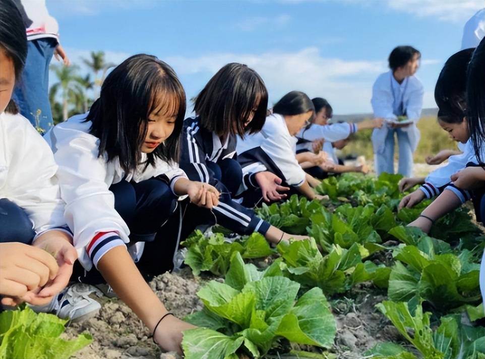 無規矩不能成方圓,明確研學管理制度勢在必行在筆者看來,研學本身無錯