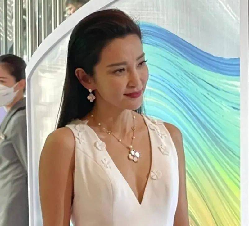 李冰冰脸一点不光滑,不笑也是满脸皱纹,才50岁就老成农家奶奶!