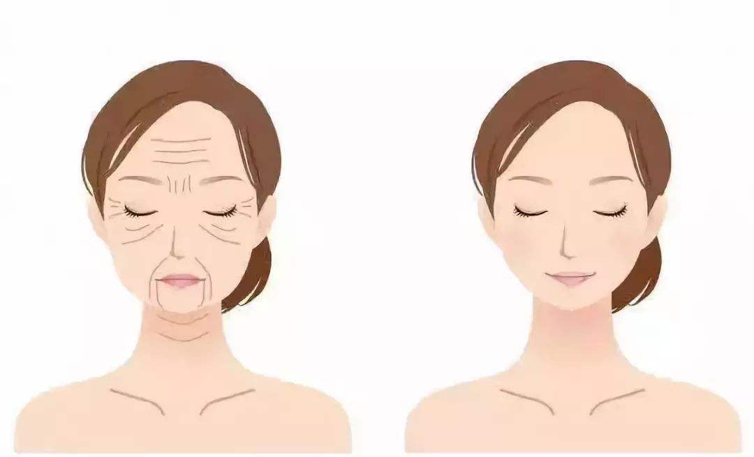 四川明欣药业:不同年龄段该怎样抗衰老?_皮肤_细胞_护肤品