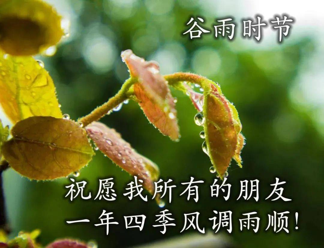 这都可以（教师节快乐图片）教师节快乐图片大全好看 第2张