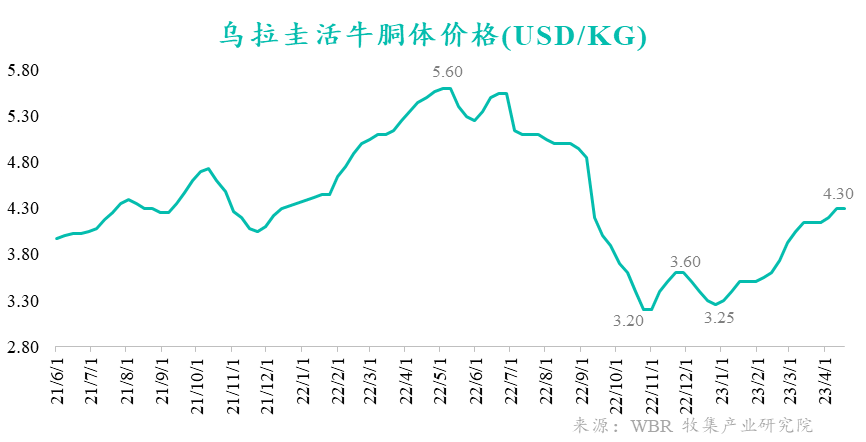 冻品资讯|乌拉圭屠宰量回升,活牛价格保持高位稳定_影响_终端_周度