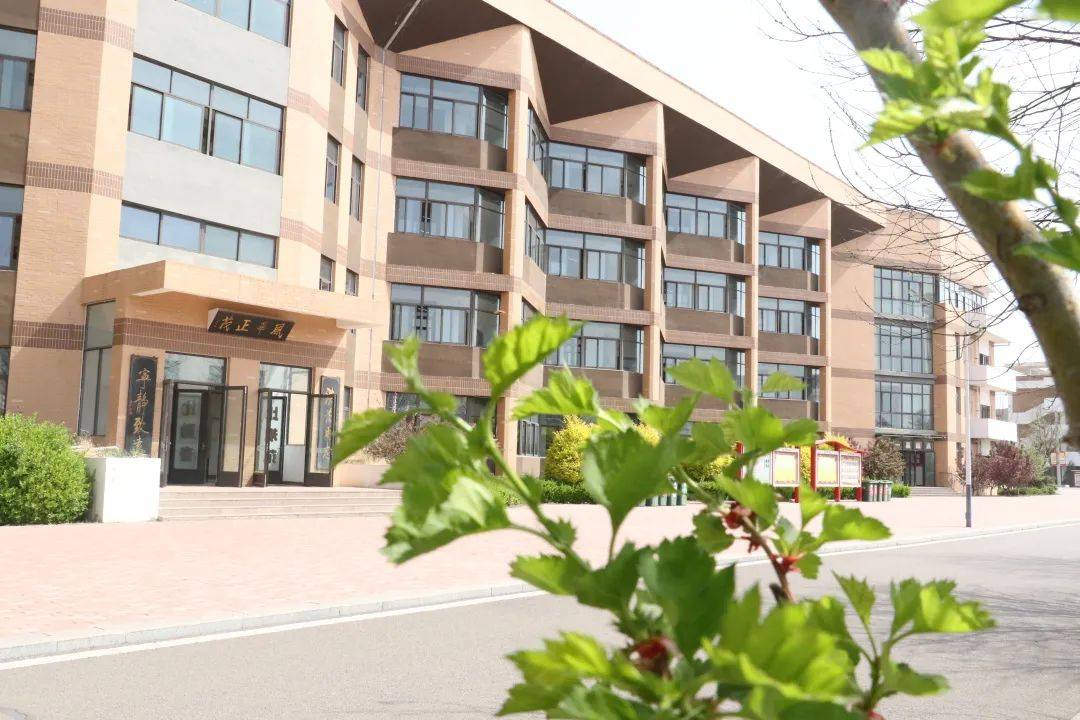 繁花将盛 韶光正好——忻州一中北校区春景掠影_嫩芽_新颜_春风