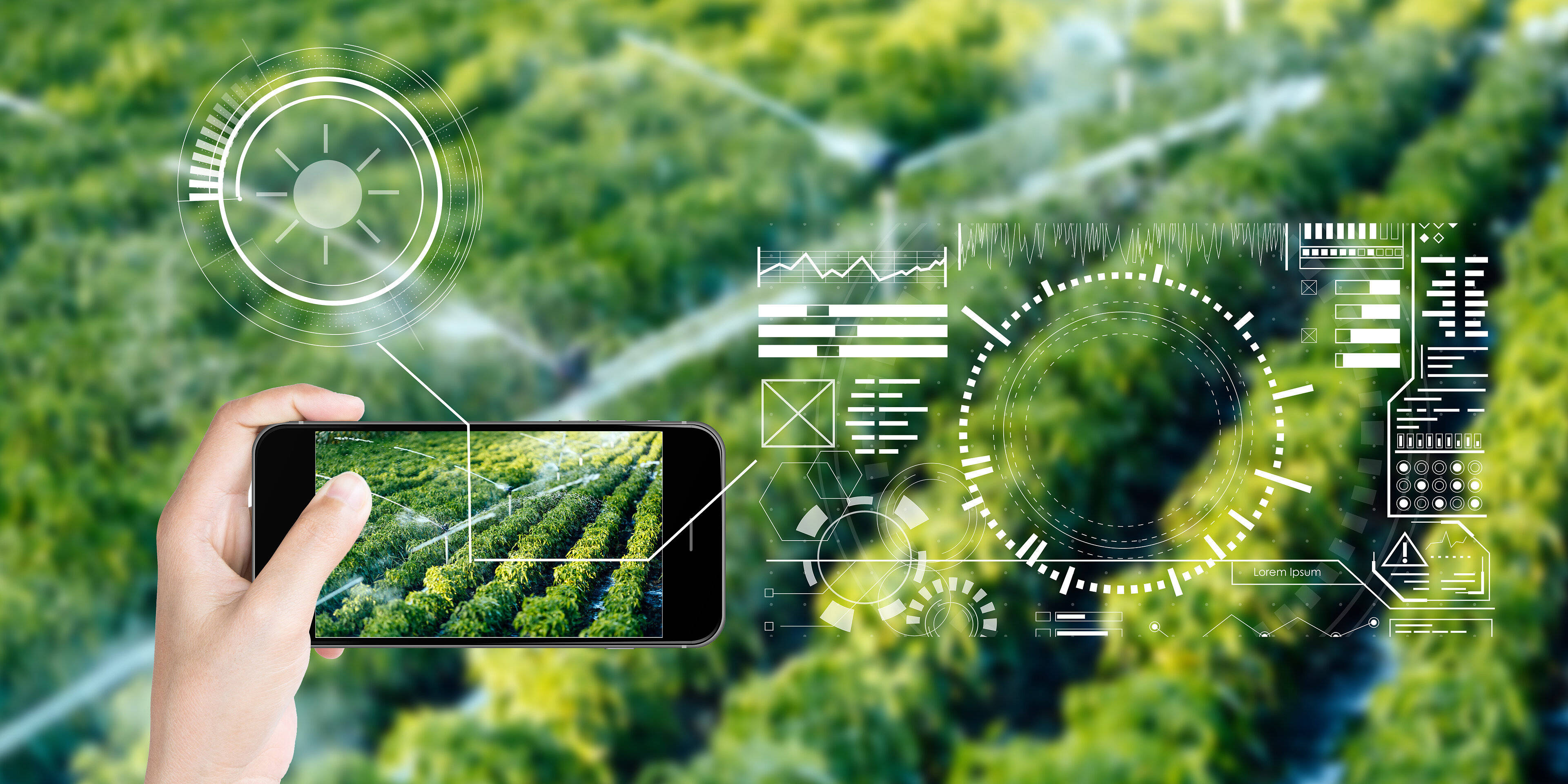 乡村振兴丨未来乡村建设重点关注哪些方面